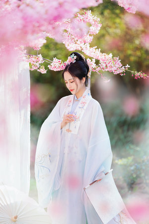 黑土热血电视剧免费观看